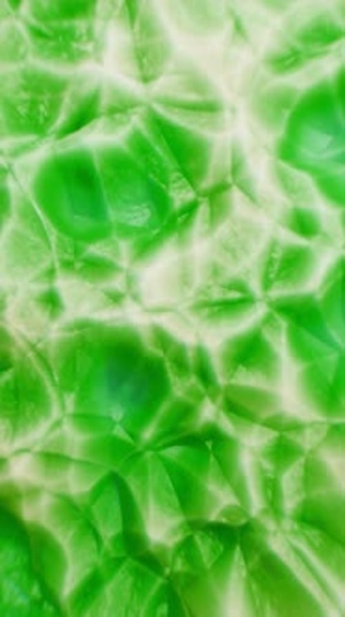Green Abstract Background Morphing Seamlessly