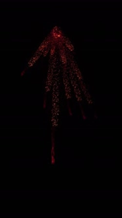 Aerial Sparks Explosion (13)