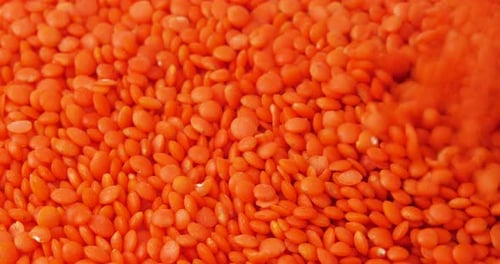 Eye-Level Shot of Heap of Red Lentils