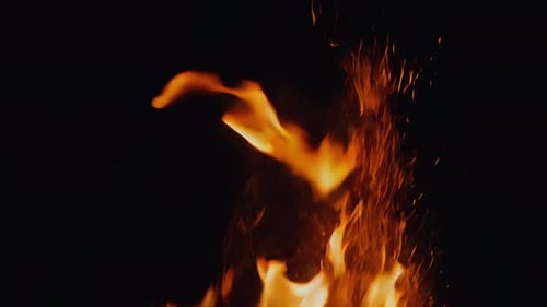 Fiery Flames Dancing Against Black Background