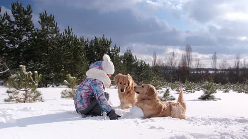 Child with Golden Retriever Dog