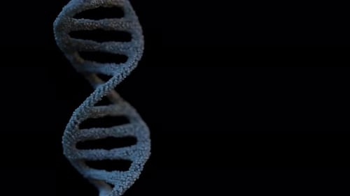 DNA Molecule, double helix strands