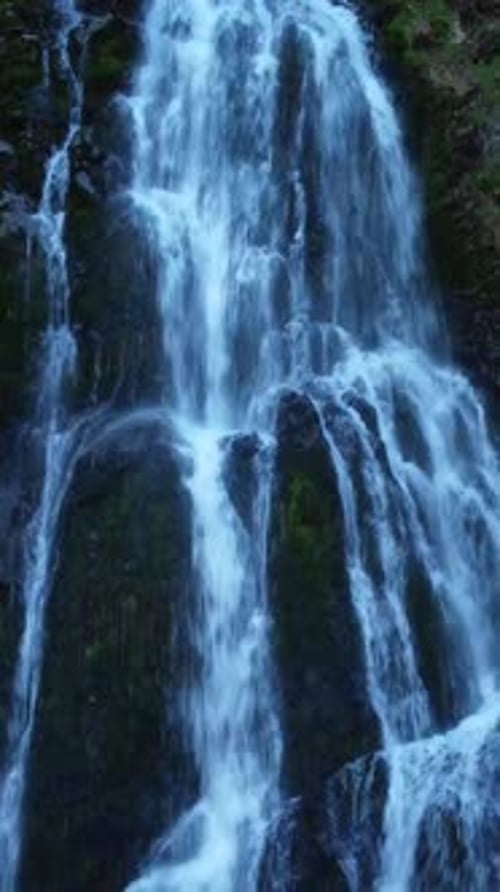 Uma cachoeira majestosa que é lindamente cercada por uma vegetação vibrante e pelo esplendor da natureza