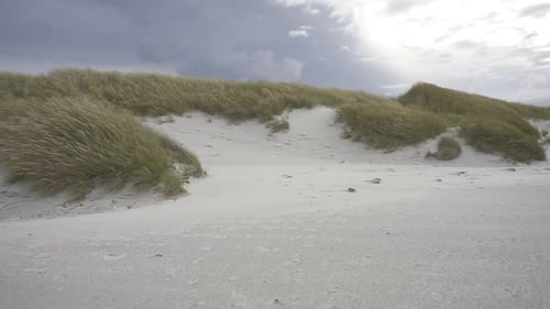 White Sand Dunes with Windswept Grass on Beach