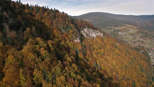 Aerial View of Colorful Autumn Forest in Countryside Nature Landscape