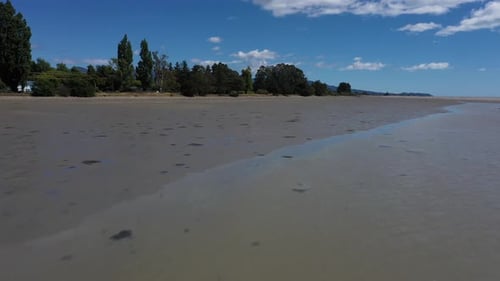 Aerial flyover mudflats towards shore with pine trees on sunny holiday day with blue sky