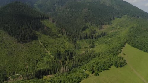Aerial: Forest Trees and Pasture in Mountain Summit Landscape