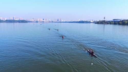 Rowing Boat racing in Competition along Coast with Aerial Drone.