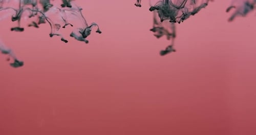 Abstract Dark Grey Color Swirl Against Salmon Background