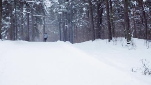 Man Running on Snowy Path in Winter Forest