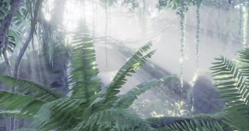 Lush Greenery Illuminated By Sunlight in a Misty Tropical Forest
