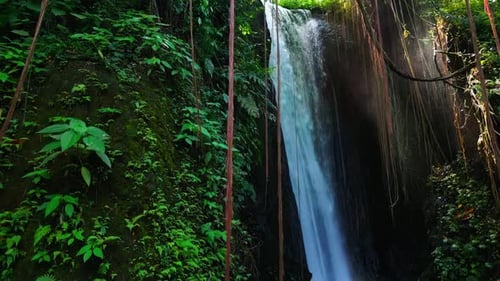 Arial View Green Nature of Forest Waterfall and Wet Mountain in River