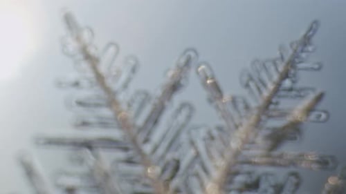 Snowflake ice crystals stellar dendrites under microscope macro large magnification close up