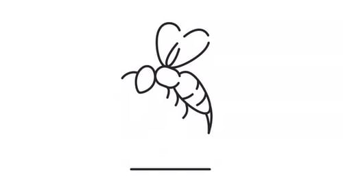 Bee venom line animation