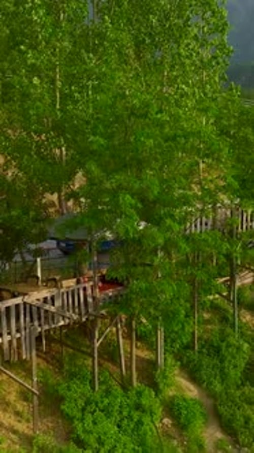 Vidéo verticale Escapade magique au bord d'une rivière au cœur d'une forêt dense et vibrante