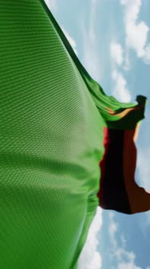 Realistic Waving Zambia Flag Vertical Video