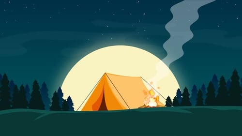 Night Camp In A Forest