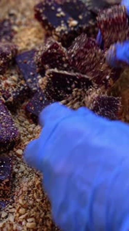 Las manos con guantes azules cubren pequeñas barras de mermelada con frutos secos.