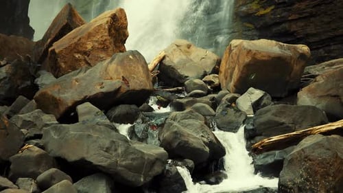 Swarm of Butterflies Flying Over Cascading Jungle Waterfall Rocks