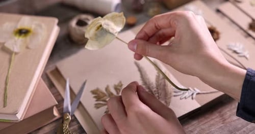 Woman Arranging Dried Flowers for Art Project at Home