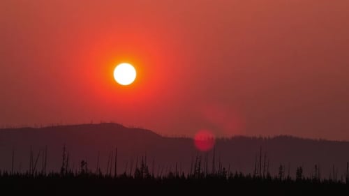 Golden Sunrise Over Hazy Hills and Trees