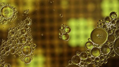 Abstract Colorful And Shiny Oil Bubbles Circles Background 16