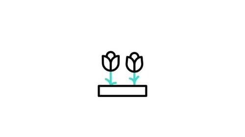Flowers Animated Icon