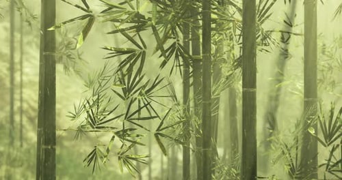 Bamboo Forest with Lush Greenery and Soft Light Filtering Through Leaves