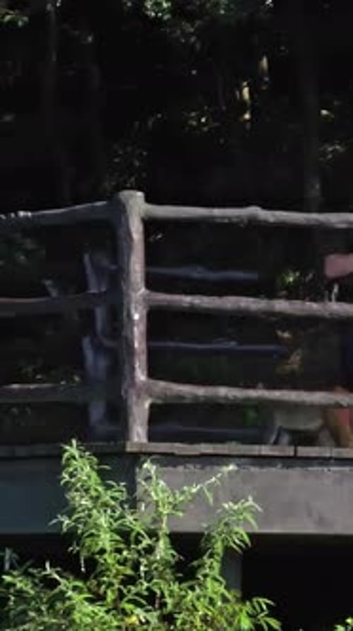 Vertical drone shot of a monkey walking past a family in sunny Zhangjiajie, China