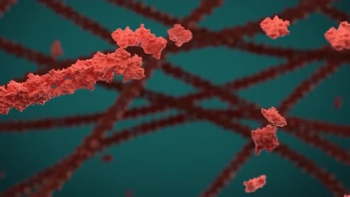 Abstract Organic Network Movement Animation