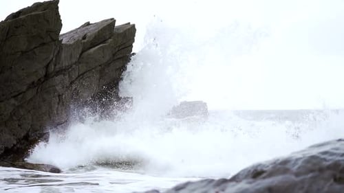 Powerful wave exploding in white spray against a dark coastal cliff face