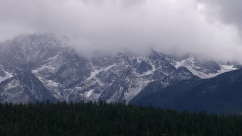 Foggy Clouds Over Dense Forest And Snow Mountains. Wide Shot