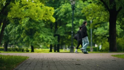 Explore the Beautiful Green Park on a Peaceful Pathway Surrounded By Natures Vibrant and Tranquil