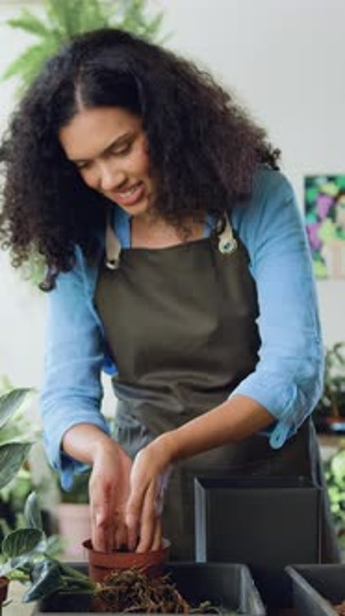 Young Female Florist Working in Her Plant Shop Beautiful Young African American Woman Florist Puts