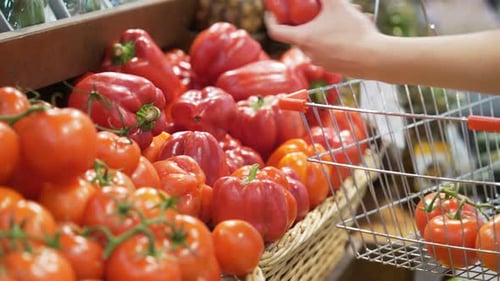 Fresh Red Bell Peppers and Tomatoes in Supermarket