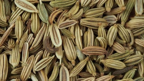 Dried fennel seeds pile close up