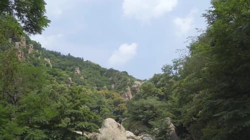 Talbach im Sommer,Der Bach fließt zwischen den Tälern
