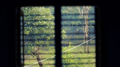 Admirer un jour de pluie depuis l'intérieur de la maison, en regardant par la fenêtre. Premier plan statique et flou