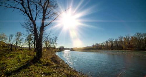 Mountain River Timelapse at the Summer or Autumn Day Time Wild Nature Clear Blue Water and Dry Trees