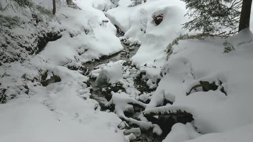 A creek running in a zigzag down the slope between snowdrifts and firs covered with snow.
