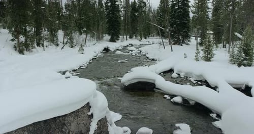 Bach, der im Winter durch den verschneiten Kiefernwald fließt