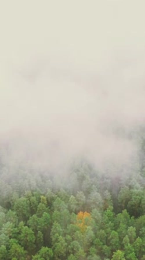 Lower Clouds Moving Above Autumn