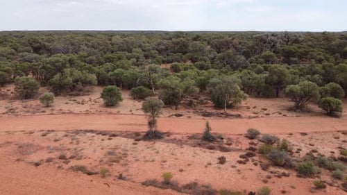 Drone descending in the Australian Outback showing unsealed road
