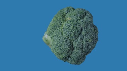 Healthy Food Advertisement Creative Concept Closeup Shot of Green Broccoli Rotating Horizontally