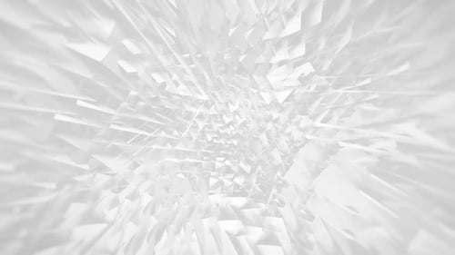 White Polygonal Abstraction