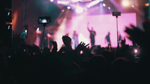 Energetic Crowd Enjoying Live Music Performance at Night