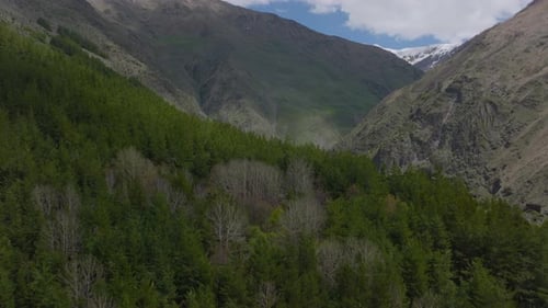 Drone flight over alpine forest and mountain range in Macedonia.