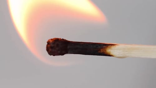 Match Ignites and Burns Down in Close Up