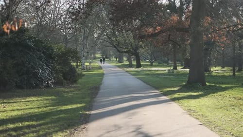 Couple walking along a path in a garden