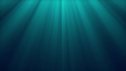 Underwater Scene 4k